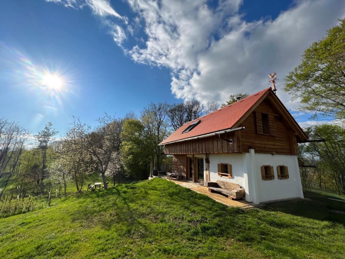 Villa Kellerstöckl Hütter Güssing Exterior foto